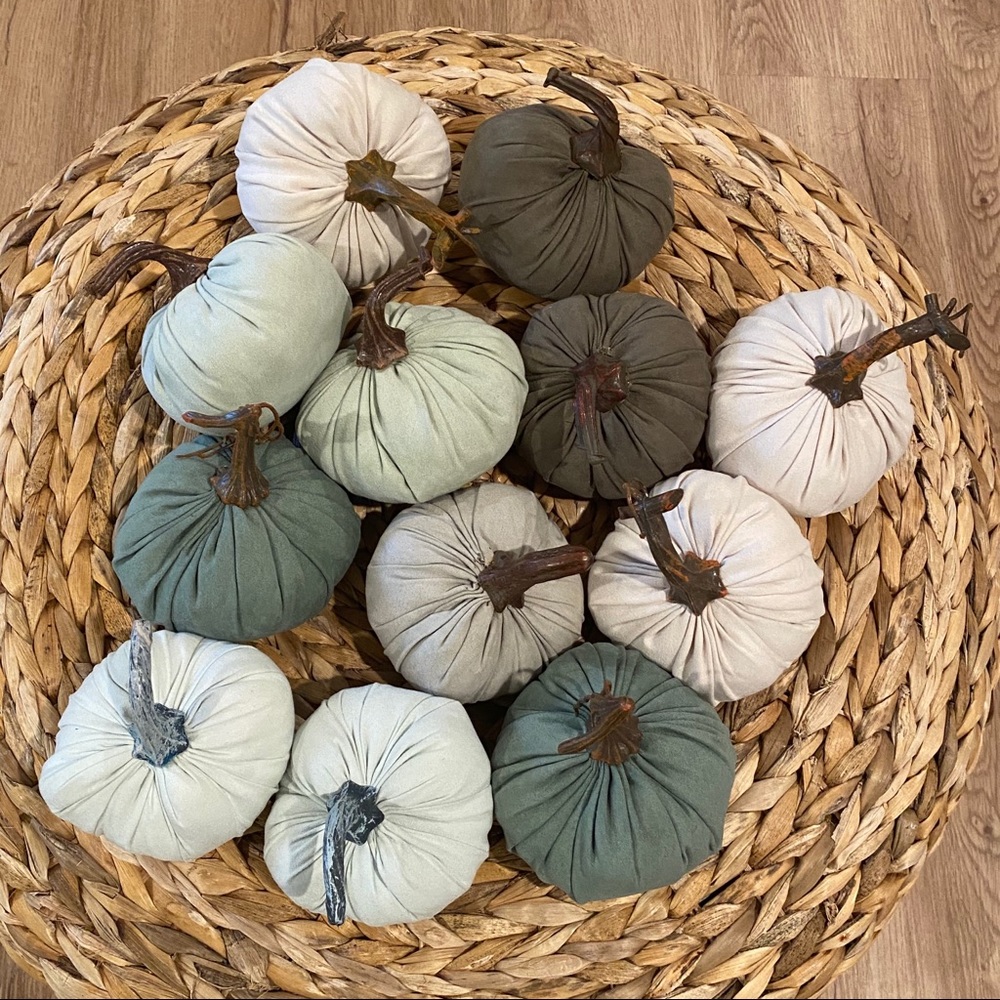 Set of 12 Target Bullseye’s Playground Pumpkins